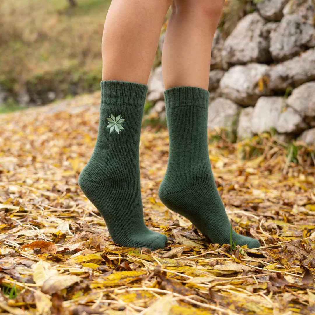 Terre | Chaussettes d’hiver (3 paires)